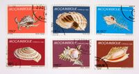 Briefmarken Mocambique Meeresschnecken 1980 Brandenburg - Havelaue Vorschau
