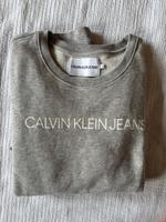Sweatshirt CALVIN KLEIN Gr. L grau Kreis Ostholstein - Lensahn Vorschau