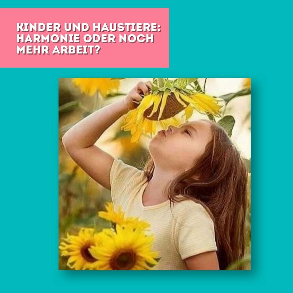 Babysitter, Kinderbetreuung, Tagesmutter gesucht in Düsseldorf