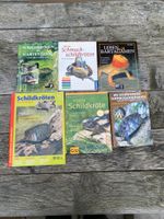 Schildkröte, Schmuckschildkröte, Bartagamen Bücher, Gelbwange Bayern - Türkenfeld Vorschau