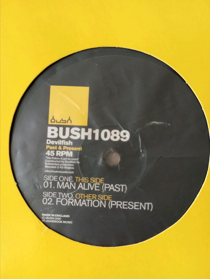 Vinyl Schallplatte Bush Records 1089 in Buseck