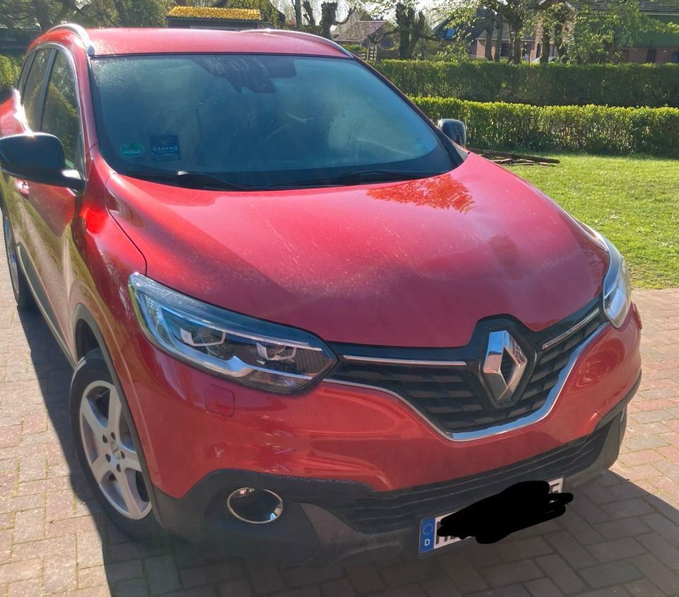 Renault kadjar in Meldorf