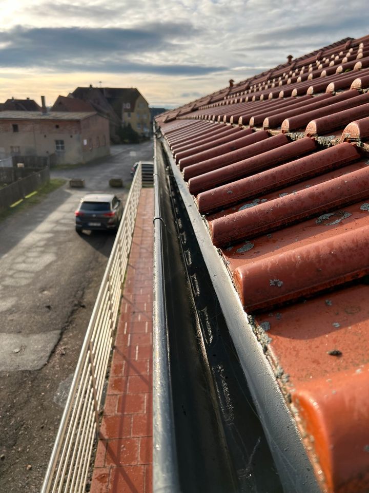 Dachrinnen Reinigung in Wolfsburg