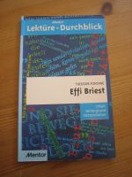 Lektüre Durchblick "Effie Briest" von Theodor Fontane Hessen - Neu-Anspach Vorschau