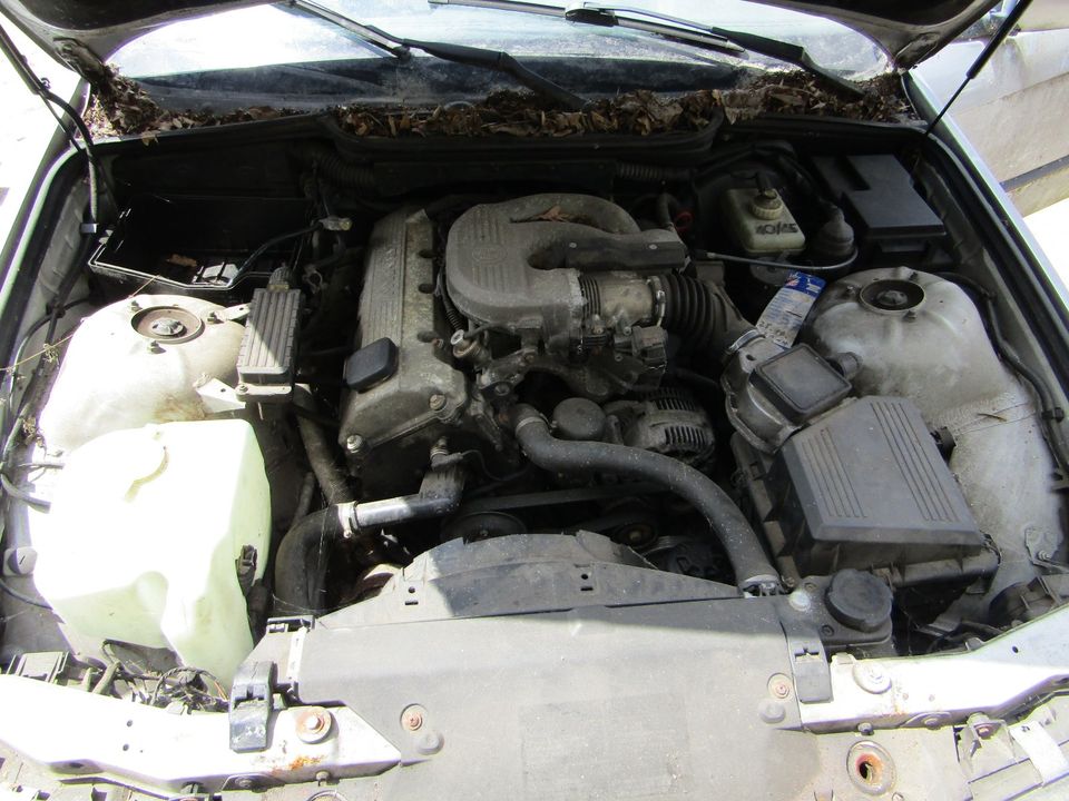 Ersatzteile BMW E36 316i 1998 75KW Touring Benzin Schlachtfest in Wurzen