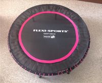 Indoor Fitness Trampolin/Rebounder mit Haltegriff - TOP Niedersachsen - Marxen Vorschau