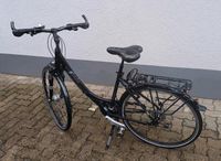 Damen Pegasus Fahrrad in Schwegenheim Rheinland-Pfalz - Klingenmünster Vorschau