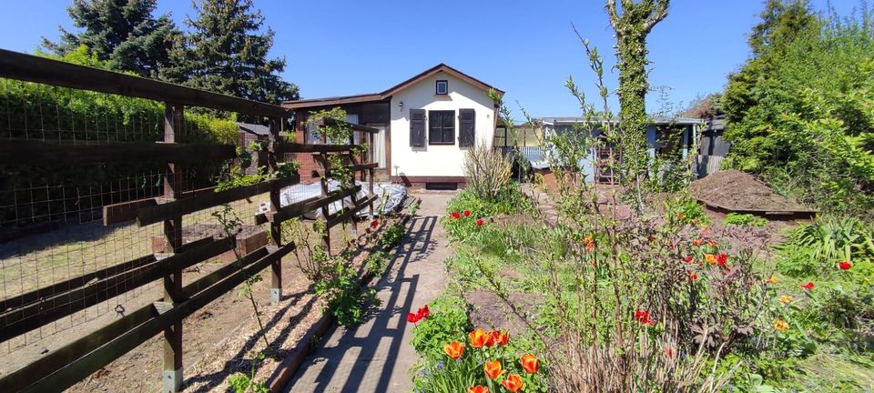 Garten Bungalow Pachtgarten Kleingarten Schrebergarten in Leipzig