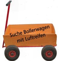 Suche Bollerwagen mit Luftreifen, Tausch mit meinen Angeboten? Nordrhein-Westfalen - Hünxe Vorschau