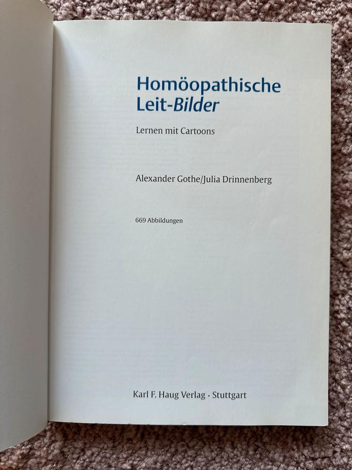 Alexander Gothe Leitbilder Homöopathische Behandlung Haug in Wanzleben