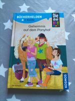 Buch Die drei !!! Ausrufezeichen Geheimnis auf dem Ponyhof Hessen - Korbach Vorschau