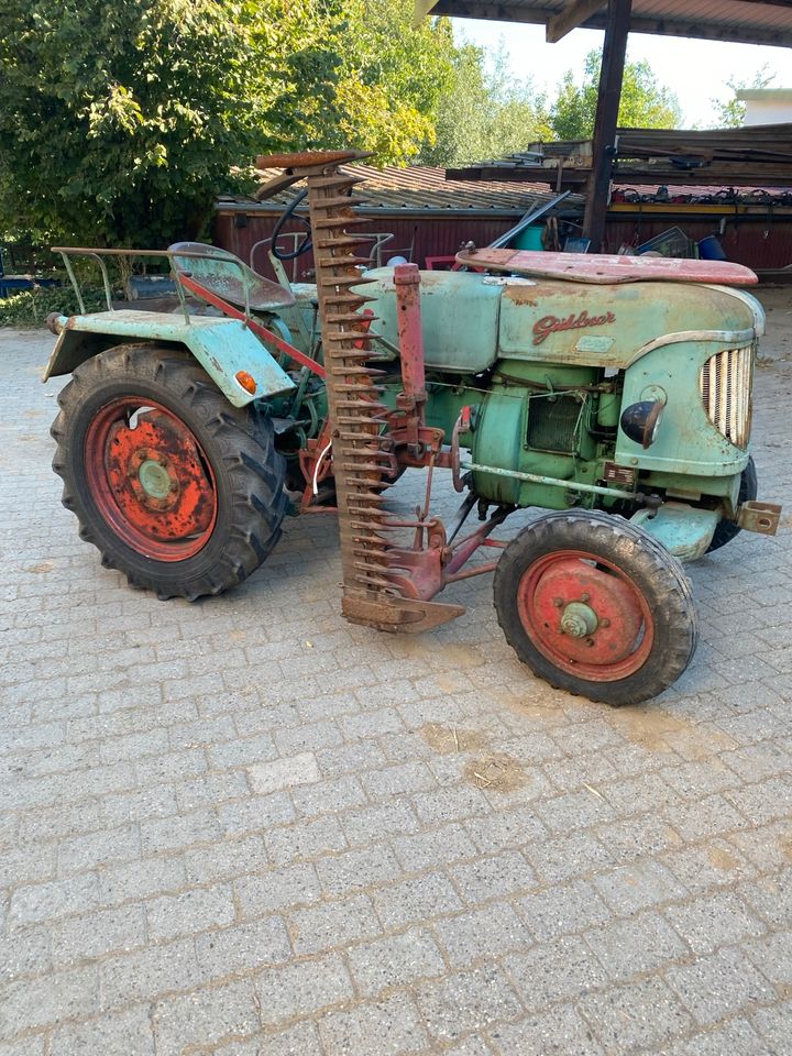 Traktor Güldner ohne Papiere!—Traktor läuft! in Aidlingen