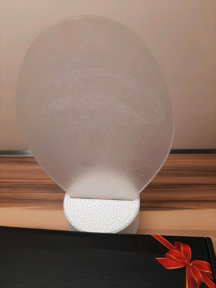 Eine 3D ILLUSION LAMP mit einem Pilzmotiv in Eiterfeld