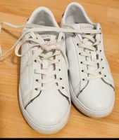 Tommy Hilfiger Damen Sneaker in Größe 37 Hamburg-Mitte - Hamburg Billstedt   Vorschau