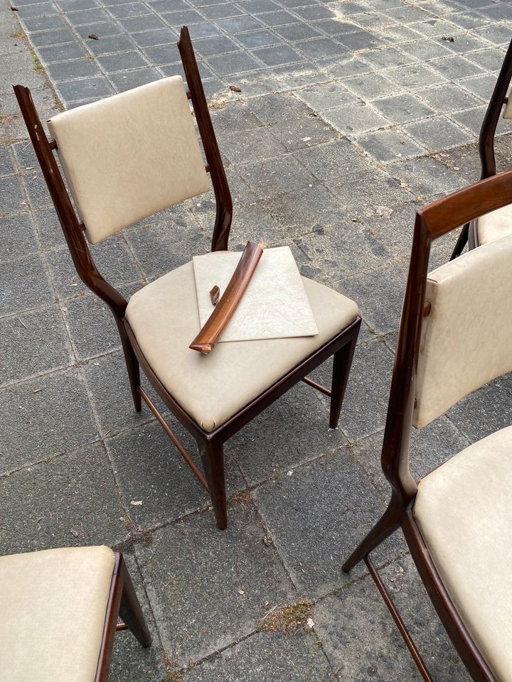 8x Vittorio Dassi Stühle 50er Mid Century Vintage Ponti Parisi in Nürnberg (Mittelfr)