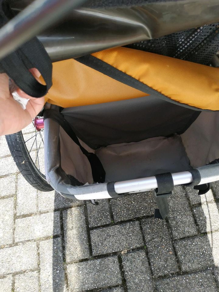 Chariot Fahrradanhänger inkl Hängematte für Babies in Emmendingen