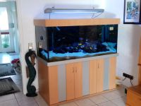 Aquarium 780 Liter Nordrhein-Westfalen - Werne Vorschau