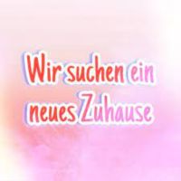 *** Suche 3 Zimmer Wohnung *** Baden-Württemberg - Abtsgmünd Vorschau