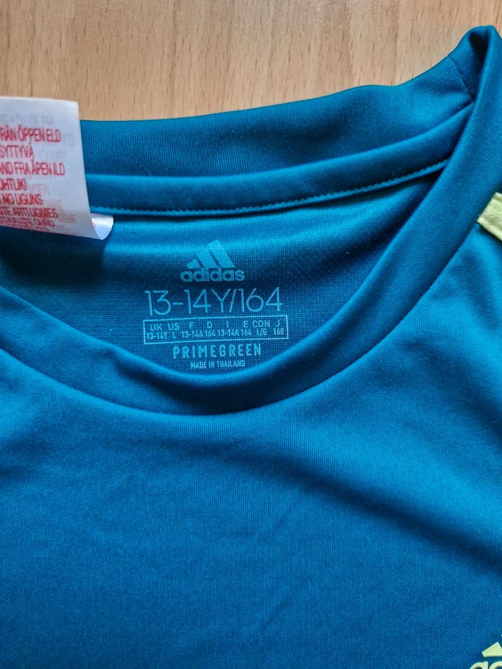 Adidas T-Shirt, grün, Gr. 164, 13-14 Jahre ohne Shorts in Brennberg