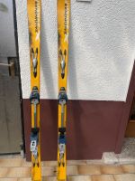 Touren Ski  Salomon Diamar Hessen - Rüsselsheim Vorschau