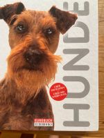 Hunde Buch Nordrhein-Westfalen - Arnsberg Vorschau