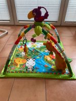 Spielbogen Fisher Price Schleswig-Holstein - Kropp Vorschau