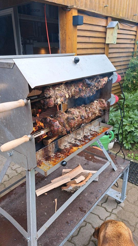 Mutzenbraten nach Thüringen Art in Lewitzrand