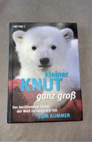 Buch kleiner Knut ganz groß Nordrhein-Westfalen - Frechen Vorschau