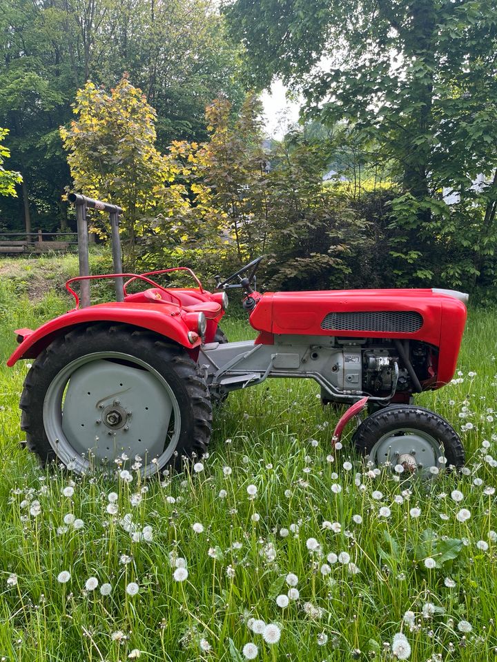 Traktor Bautz 300 mit TÜV in Sundern (Sauerland)