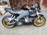 Buell XB 12 S Sachsen-Anhalt - Schlanstedt Vorschau