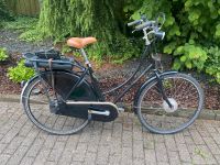 Fahrrad Kemp Starley E-bike Niedersachsen - Nordhorn Vorschau