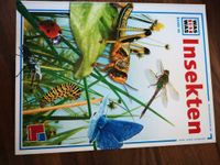 "Insekten"-WAS IST WAS-Buch BAND 30 Thüringen - Triptis Vorschau