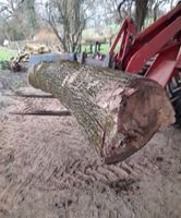 Walnuss Stamm Holz Drechsler Tischler Nordrhein-Westfalen - Leverkusen Vorschau