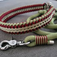 Halsband mit Leine Schleswig-Holstein - Puls Vorschau