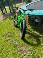 Fatbike bottecchia Dithmarschen - Schalkholz Vorschau