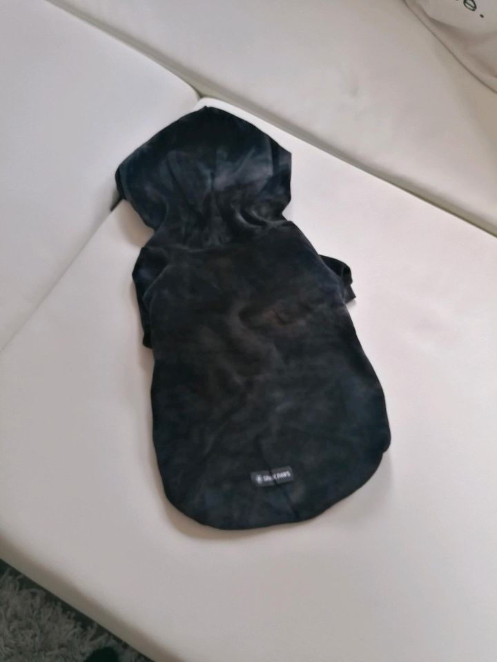 NEU - SPARK PAWS HOODY VELVET SAMTIG 2XL FRENCHIE in Hagen