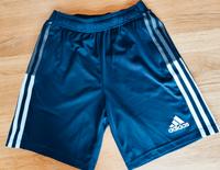 kurze Hose Brandenburg - Teltow Vorschau