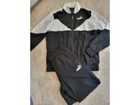Puma Gr. L Jogginganzug Hose Windbreaker TOP Brandenburg - Temnitztal Vorschau