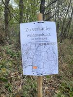 Waldgrundstück Uckerath an B8 mit kl. Bach Nordrhein-Westfalen - Hennef (Sieg) Vorschau