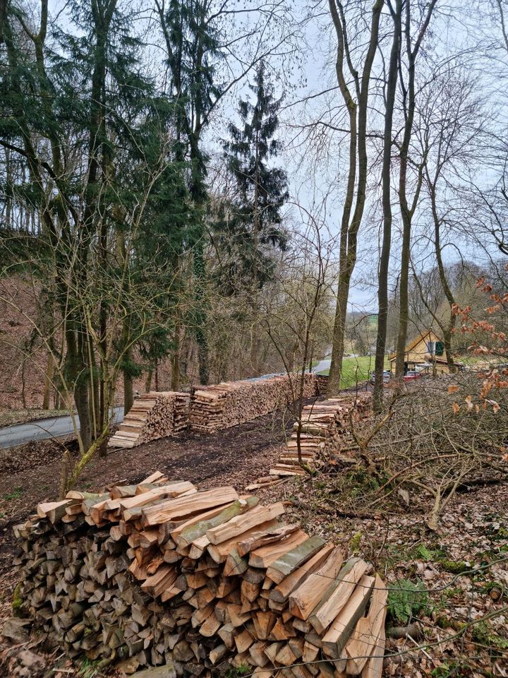 Brennholz,  Buche, fast trocken,  Kaminholz, Wunschlänge in Kalletal