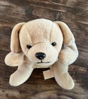 TY Fetch 1998 The Beanie Babies Collection Nordrhein-Westfalen - Marl Vorschau