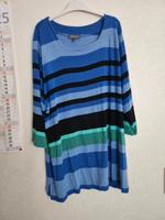 Shirt Ulla popken in 48-50 Hessen - Kassel Vorschau