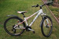 Bulls Fahrrad/Mountainbike Sharptail Street, 26 Zoll, RH 38 Schleswig-Holstein - Büdelsdorf Vorschau