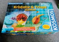 KOSMOS Kristalle & Triops züchten Big Box Experimentierkasten Niedersachsen - Uelzen Vorschau