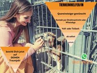 Tierheimhelfer/in gesucht (m/w/d) Friedrichshain-Kreuzberg - Friedrichshain Vorschau