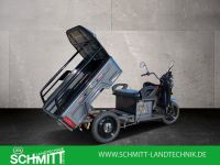 Cargo Runner Compact   25 km /H  Neu !!!! Seniorenmobil oder 35 km /H Bayern - Sommerach Vorschau