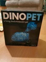 Durchsichtiger Plastik Dino - Dinopet Baden-Württemberg - Zimmern ob Rottweil Vorschau