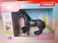 Schleich Sofias Beauties Pferd NEU OVP Brandenburg - Burg (Spreewald) Vorschau