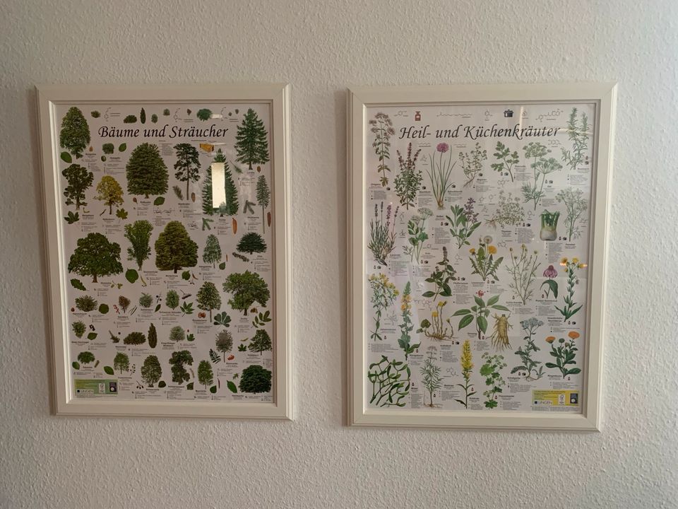 Bilder mit Pflanzen und Bäumen Motiven in Walldorf
