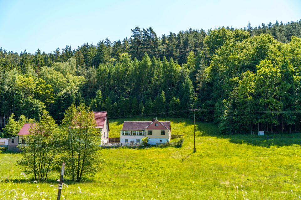 Wohnen in (fast) Alleinlage mit 1 Hektar Wald & Wiese - Naturnahes Einfamilienhaus zur Sanierung in Pössneck